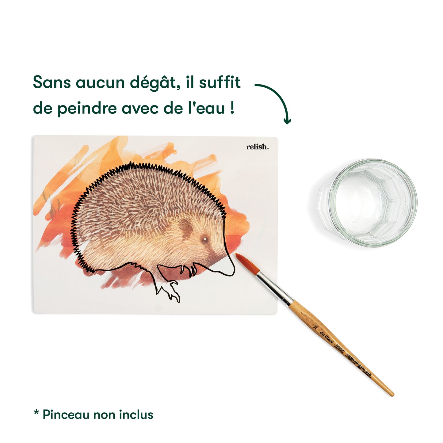 Peinture à l'eau - Merveilles du jardin