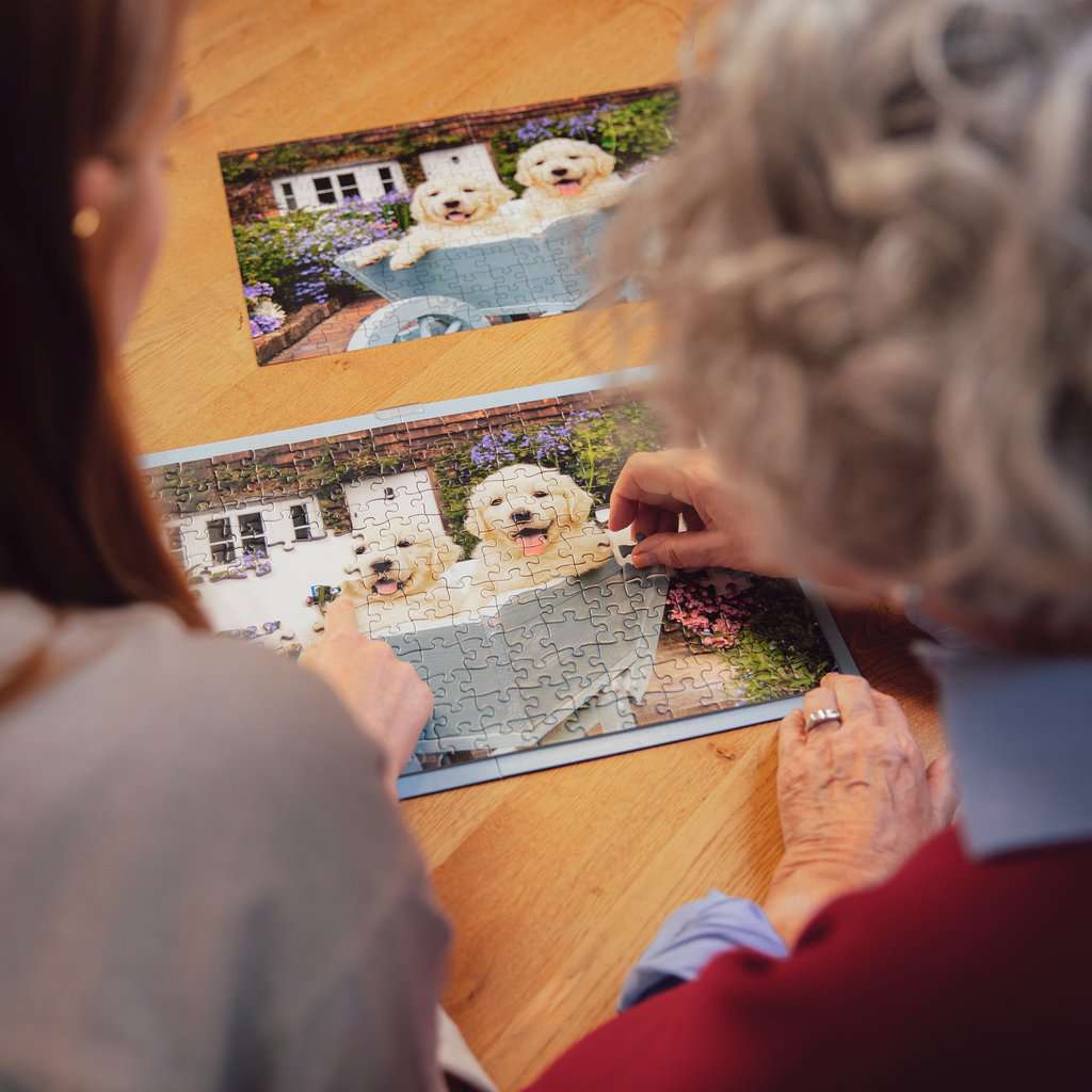 Puzzle 200 pièces - Golden Retriever