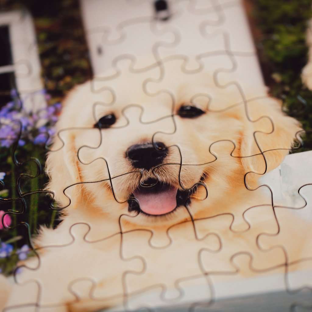 Puzzle 200 pièces - Golden Retriever