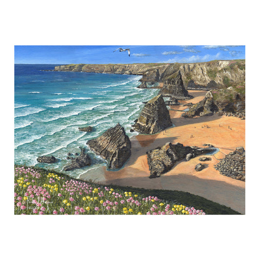 Puzzle 63 pièces - Wild Coast