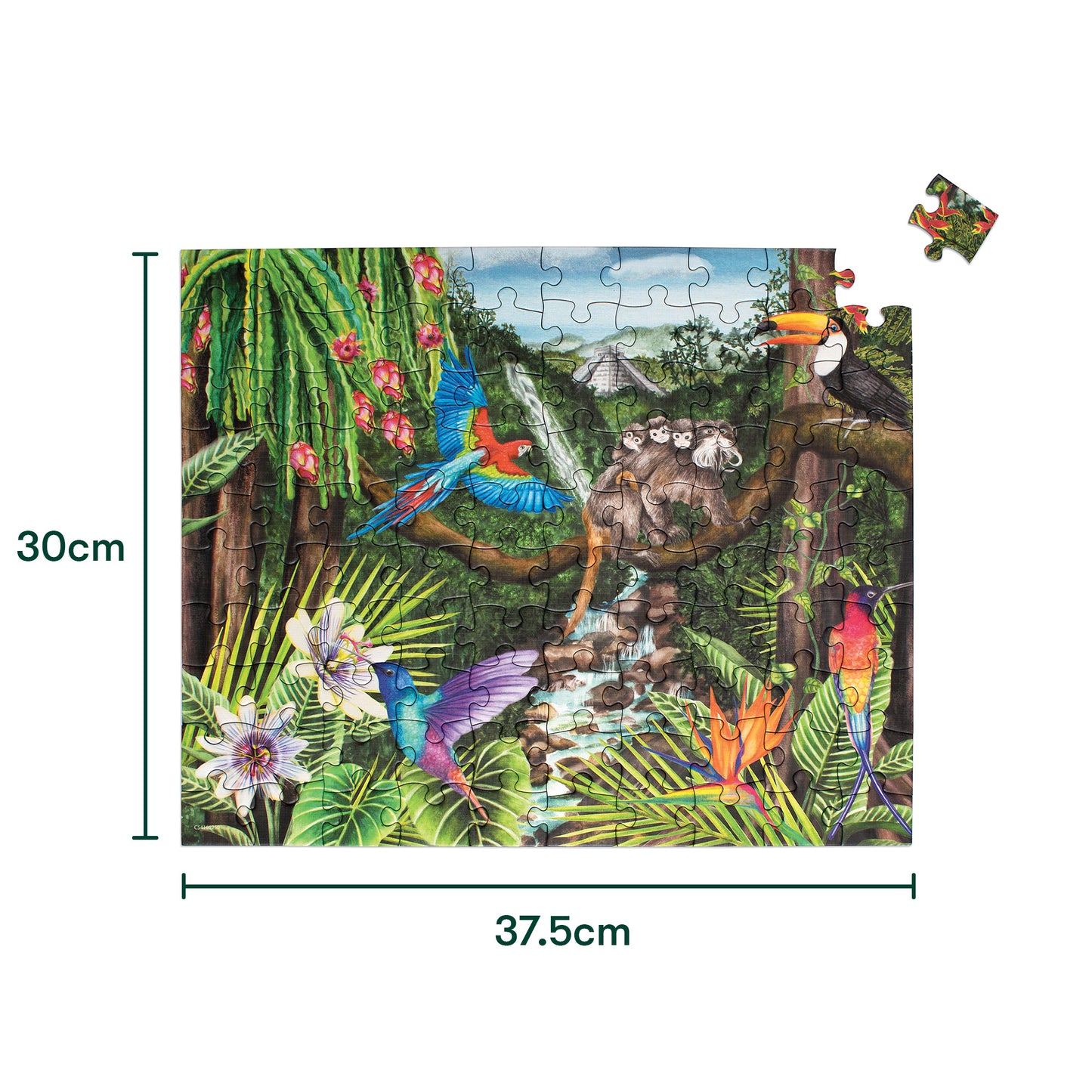 Puzzle 100 pièces - Jungle Life
