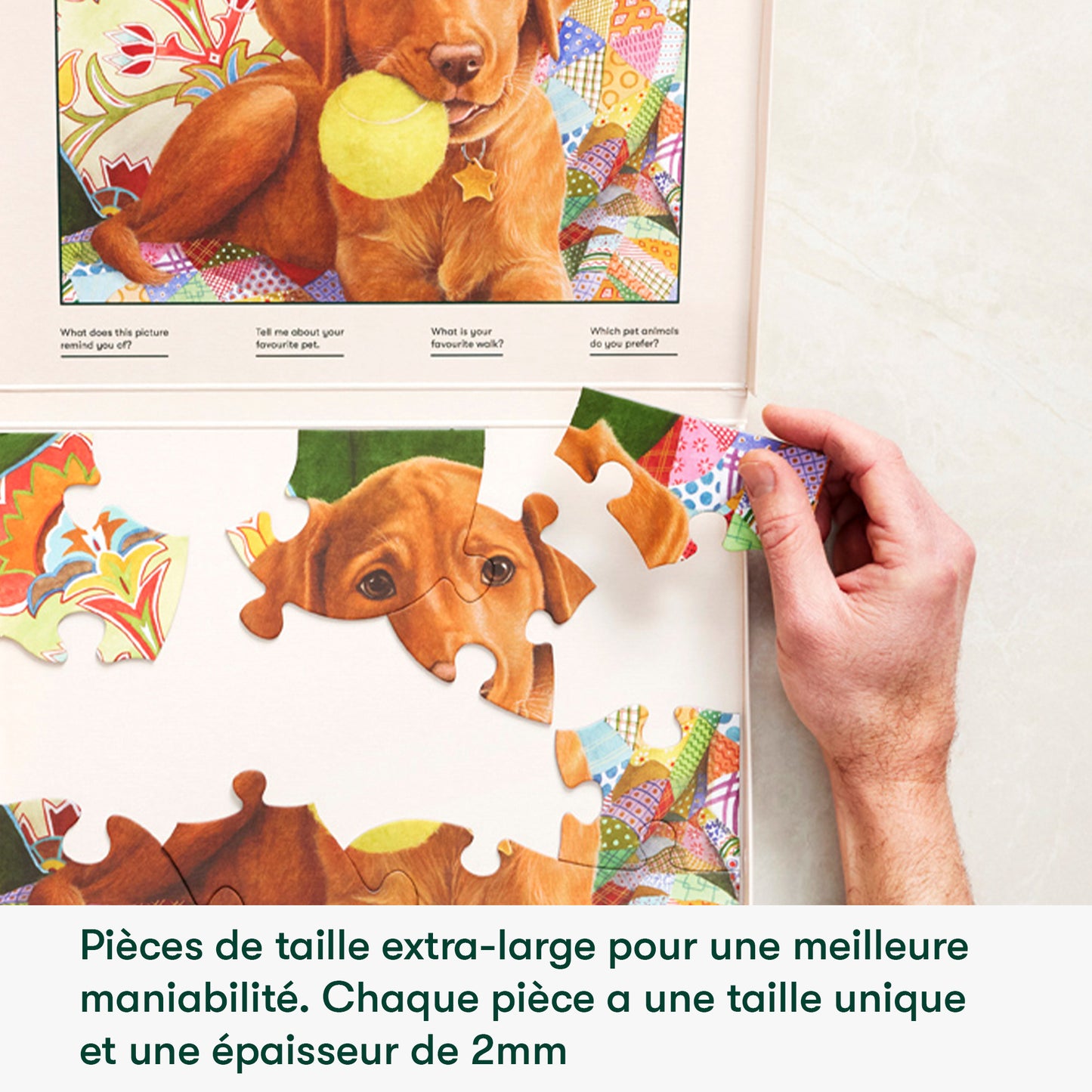 Puzzle 13 pièces - Le chien joueur