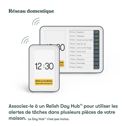 Day Connect - Horloge pour démence
