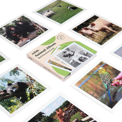 Cartes de souvenirs - Animaux (anglais)