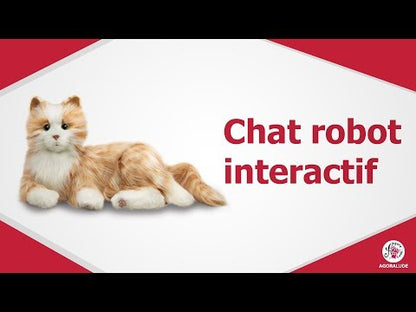 Peluche Chat Interactif pour personne âgée - Noir et blanc
